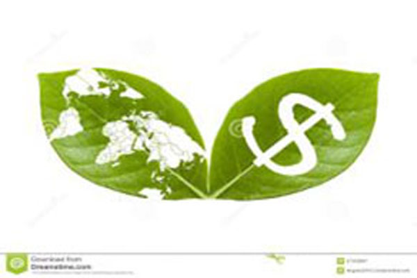 天猫可以借款吗，天猫贷款额度在哪里看