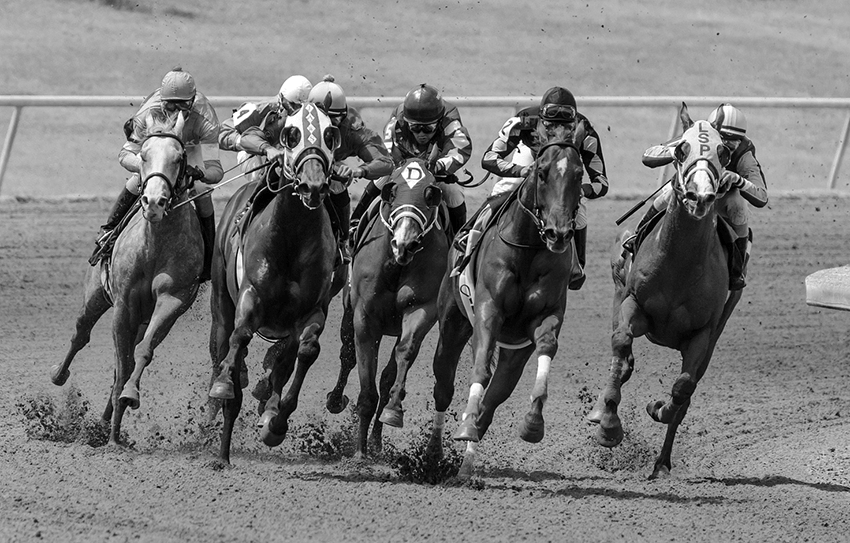 网络小贷市场重新洗牌，10家巨头跨入50亿元俱乐部