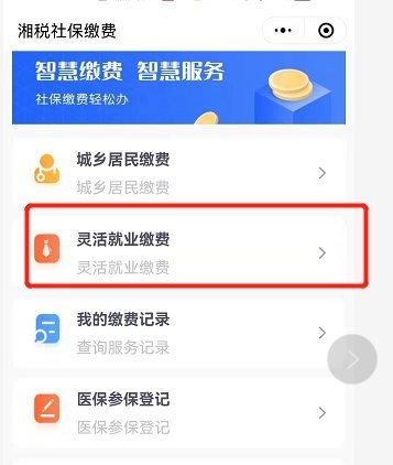 长沙社保怎么自己缴费 有这几种方式